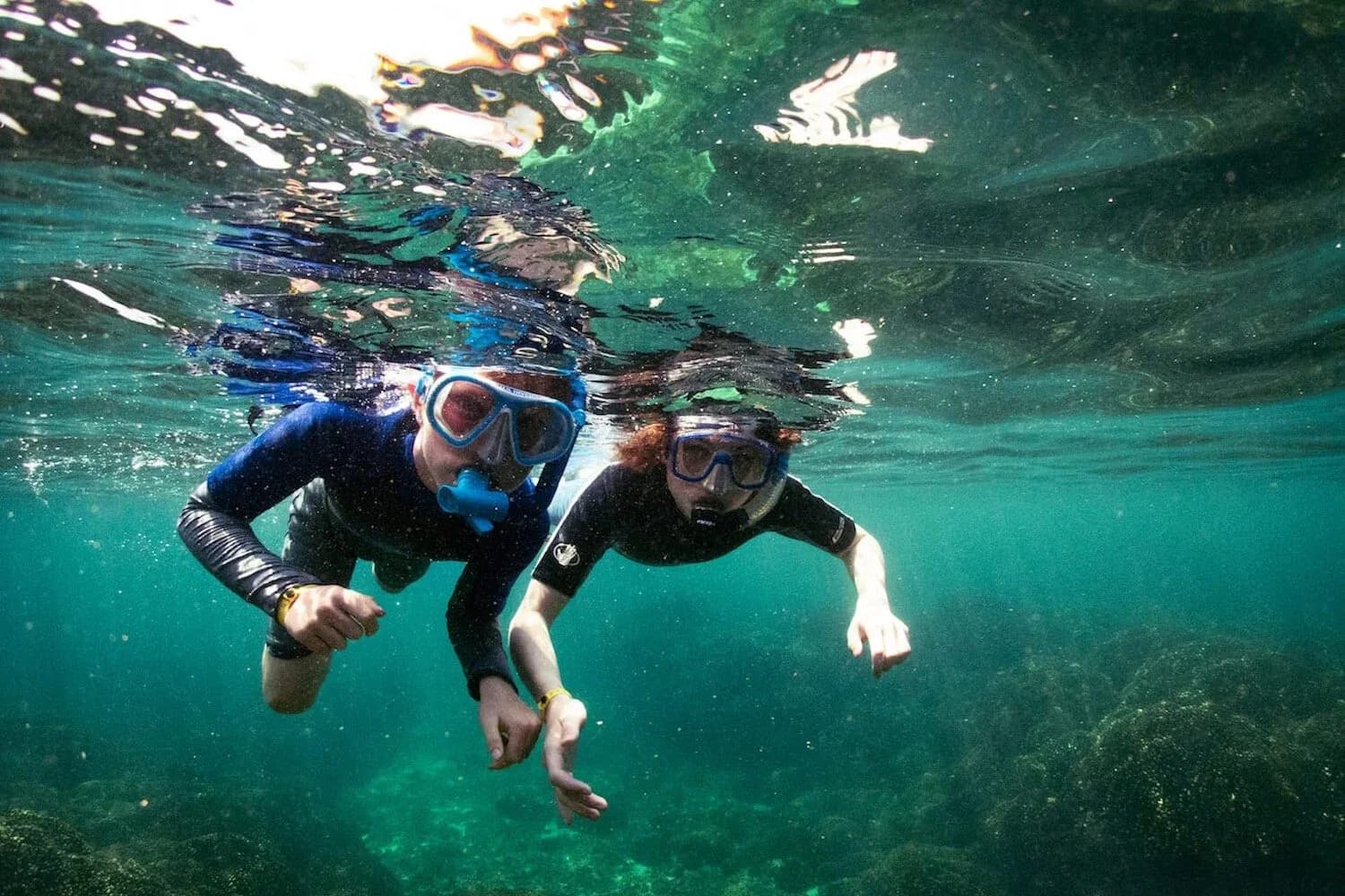 Dive Baja - Ocean Adventures