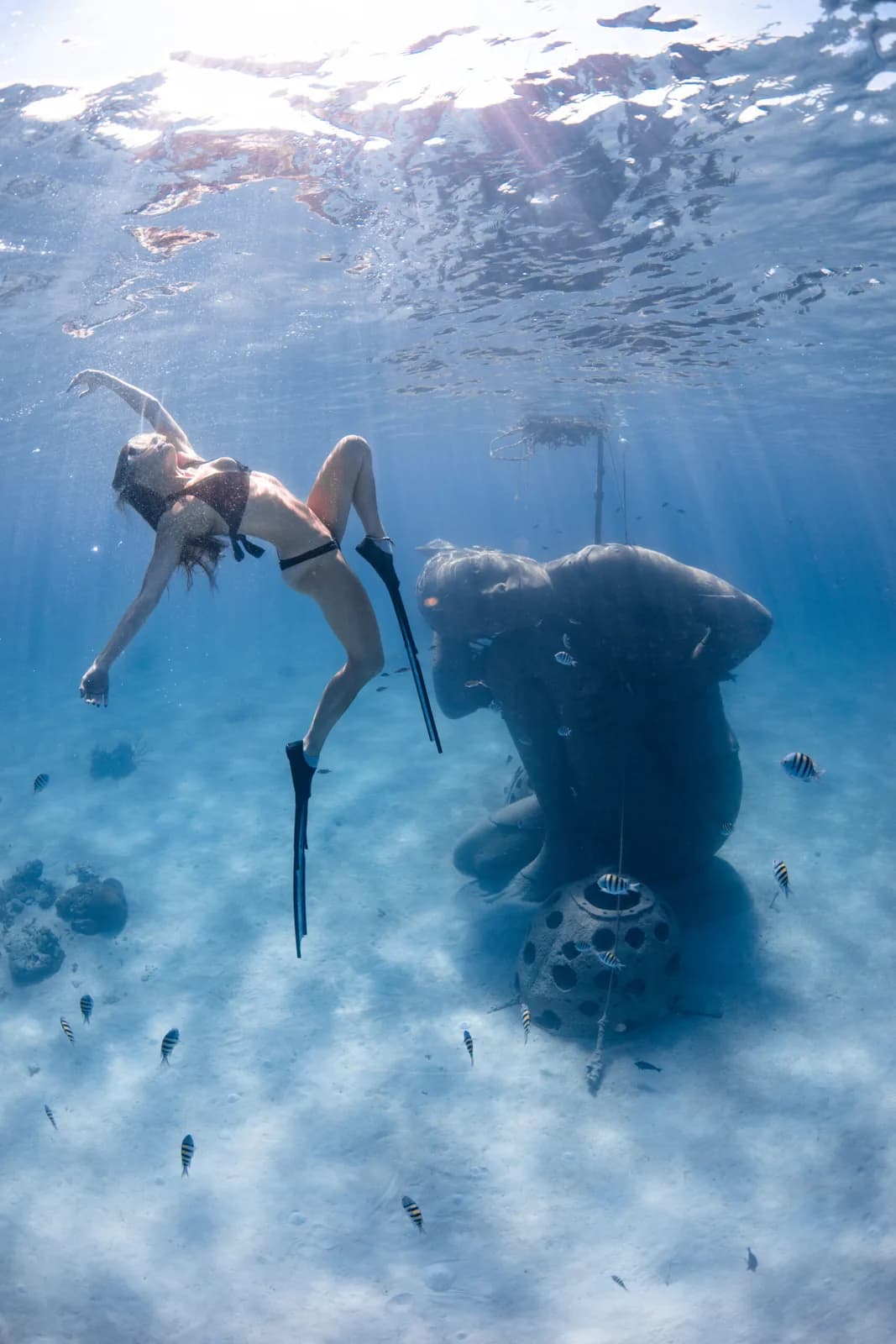 Made in Water Excursions - Snorkelling, Underwater photos and Diving in Bahamas
