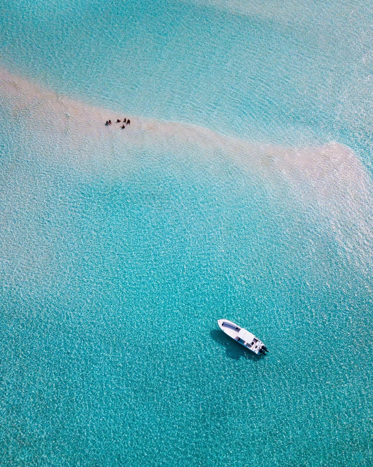 Bahamas Dive Guides | Scuba Diving, Freediving, Snorkeling & Spearfishing in The Bahamas