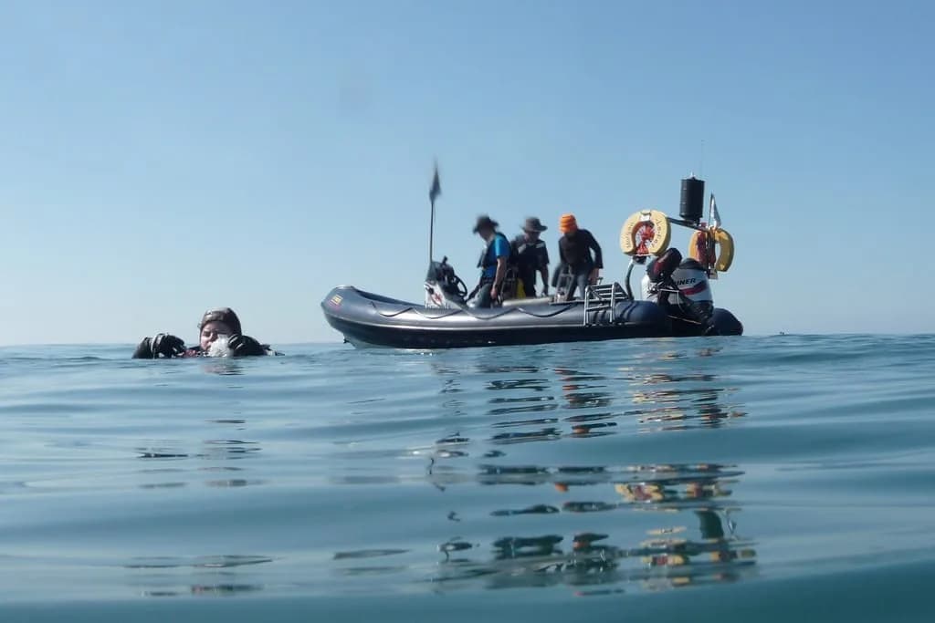 Atlantic Diving Center - Clube Naval do Funchal
