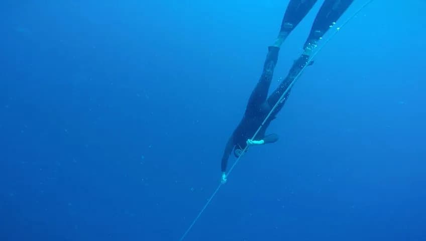DiveZone Tokyo