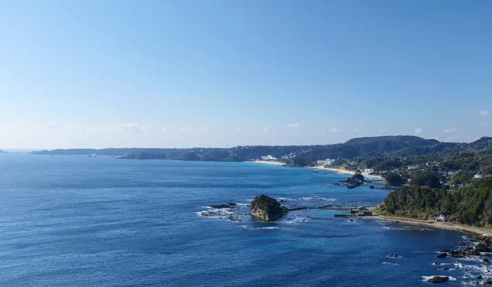 Tokyo International Diving Club
