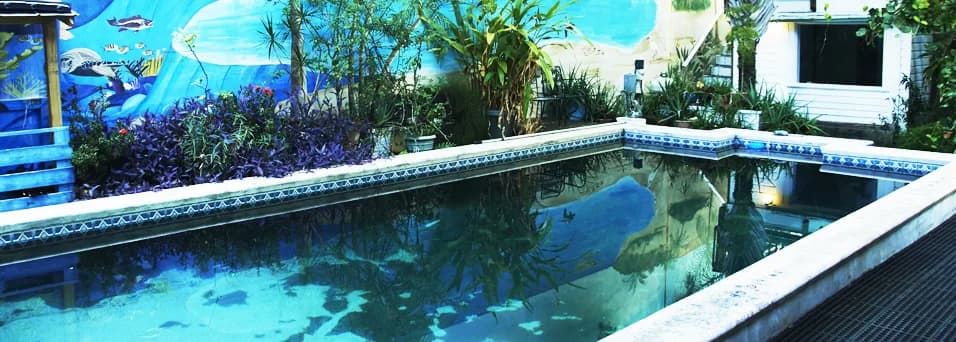 Captain's Corner Dive Center