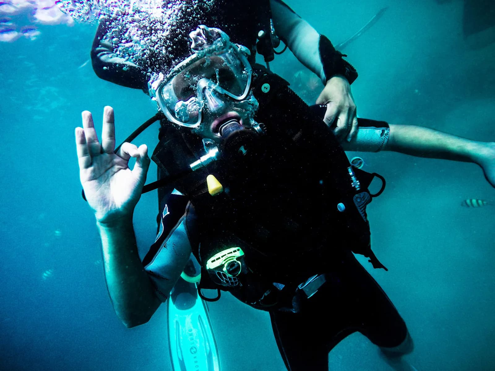 Fish Rock Dive Centre