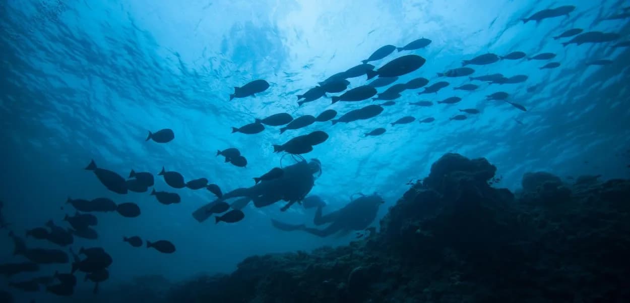Mundo Acuatico Dive Center