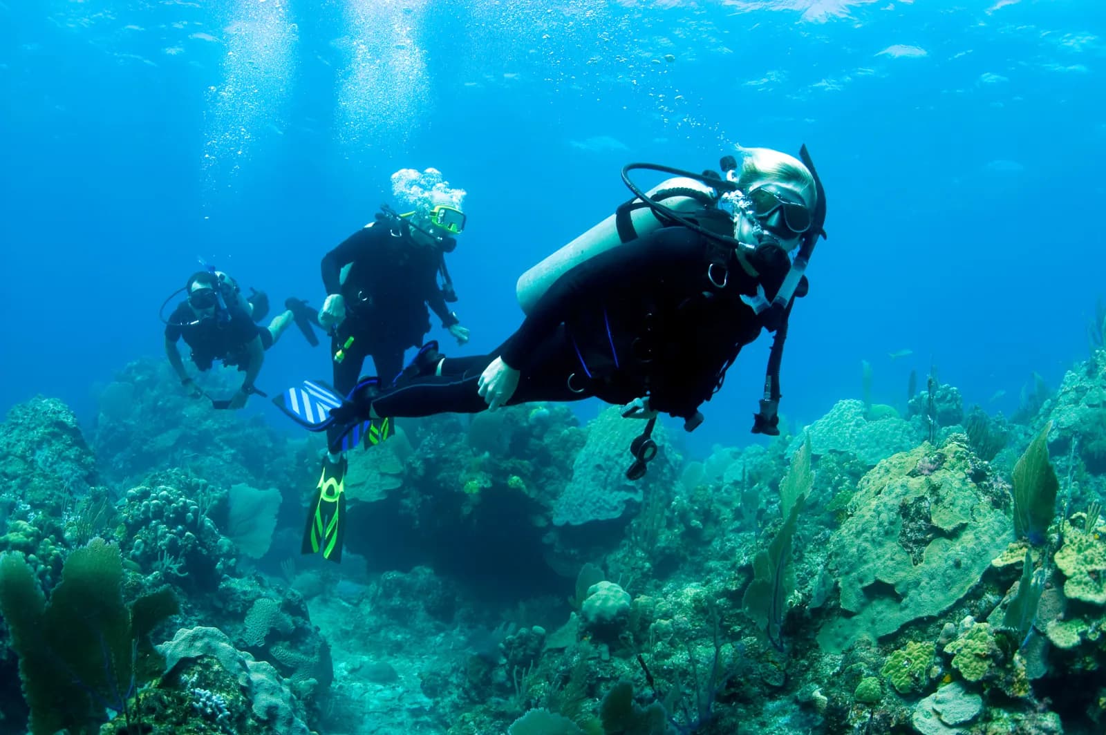 Caribe Colombiano Diving