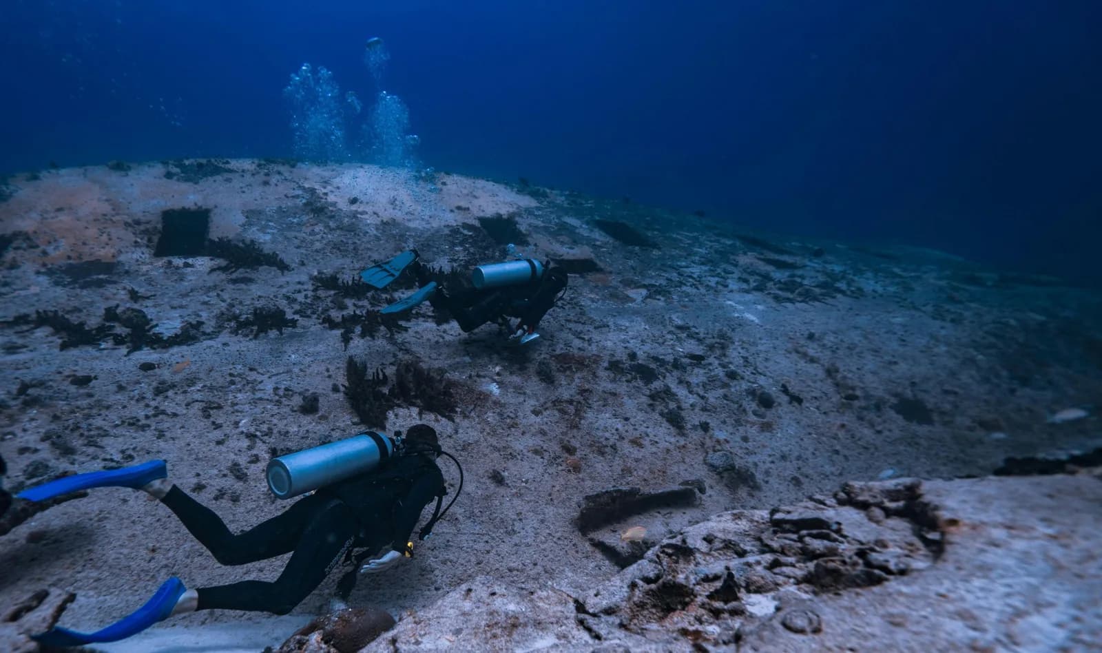 Dive Pro Colombia