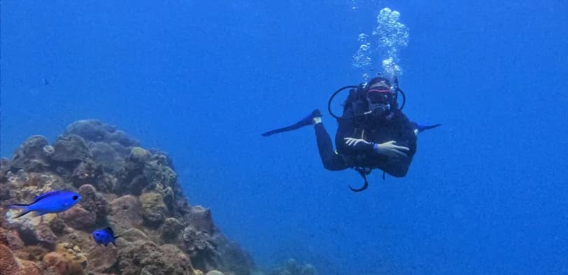 Nautilus Dive Center Taganga - PADI 5 Star Dive Resort