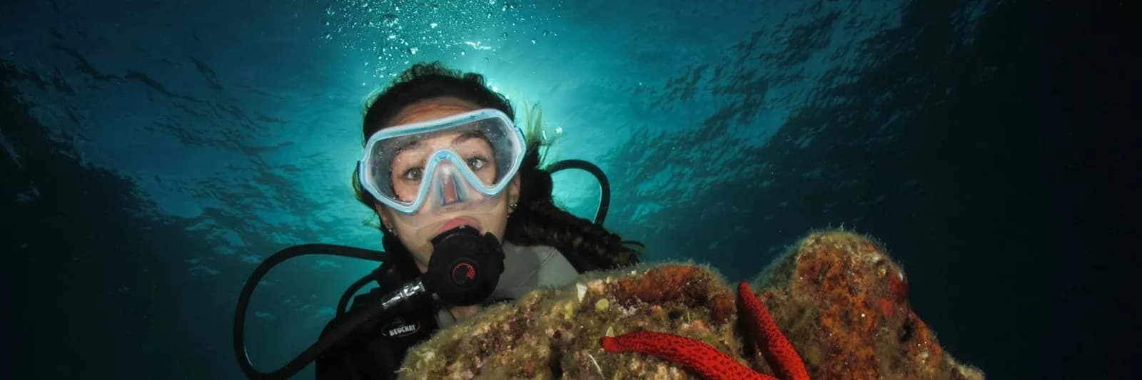 Divecenter Ile d'Or