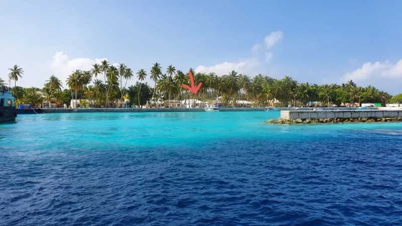 Fehi Velaa Dive