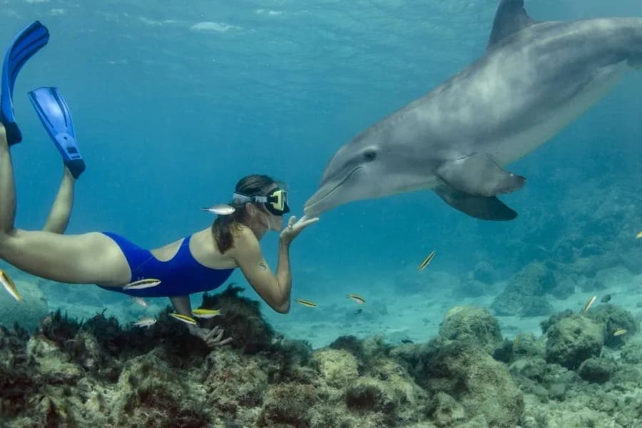 Blue Sea Diving Center