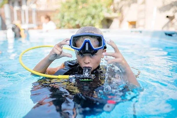 Shark Divers Club East Coast Scuba Diving UAE