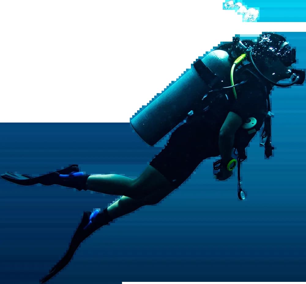 Just Dive