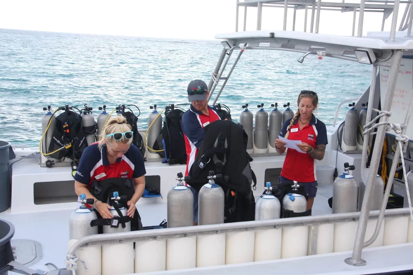 Tortuga Divers