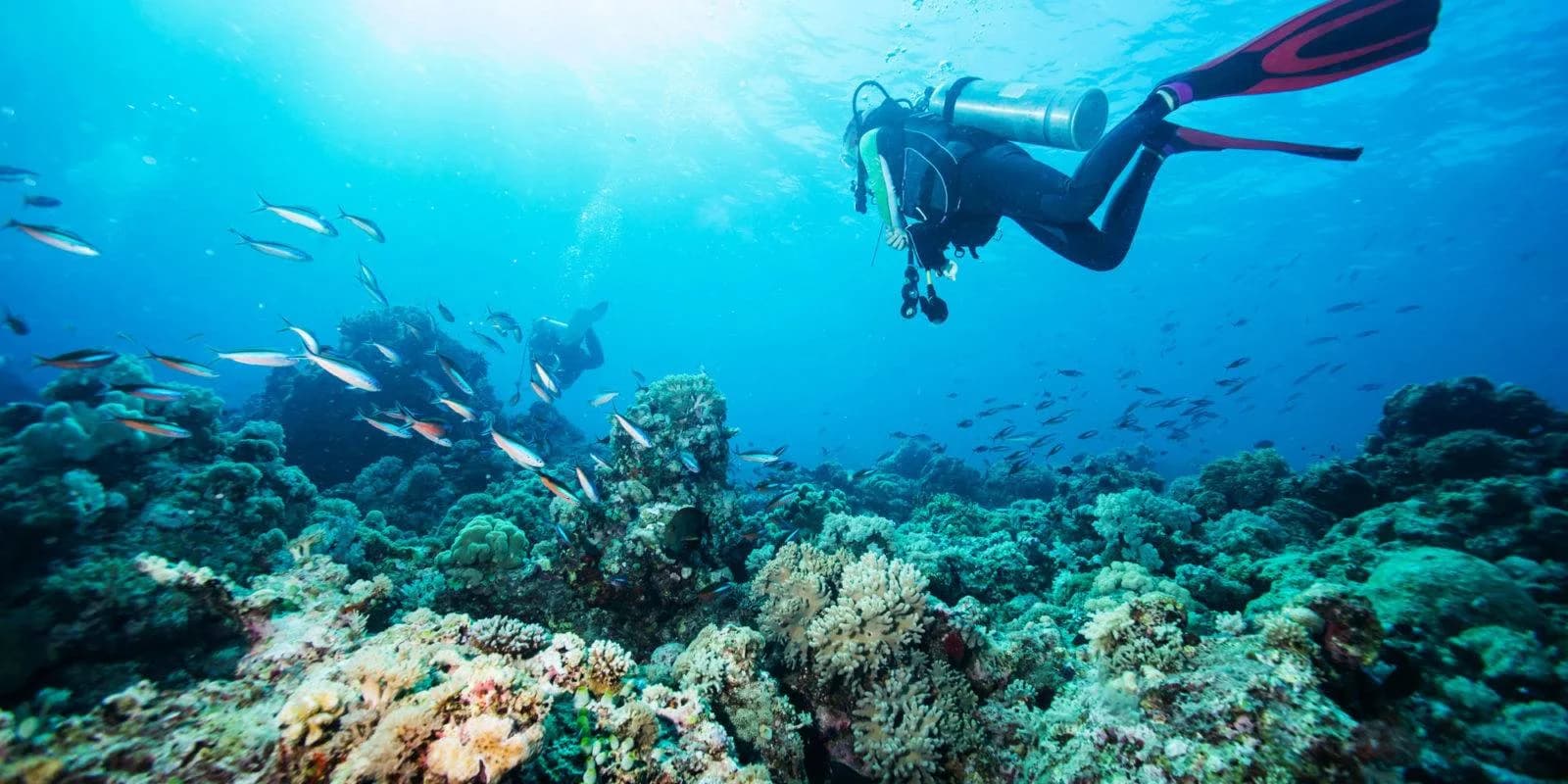 Divers Supply and Sports Supply