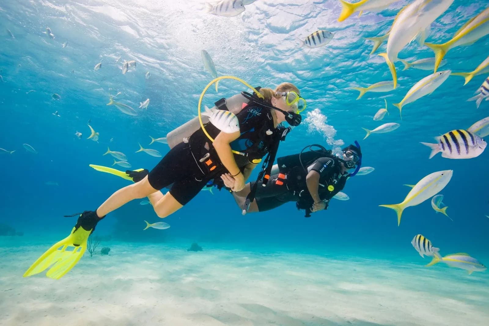 Airlie Beach Dive & Snorkel Centre