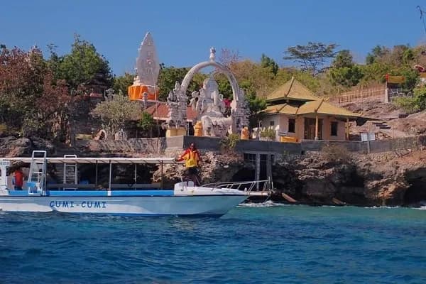 Menjangan Tour Snorkeling & Diving