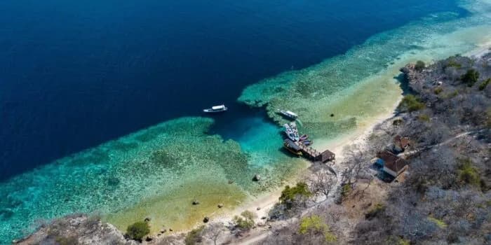 Menjangan SND (Snorkeling & Diving)