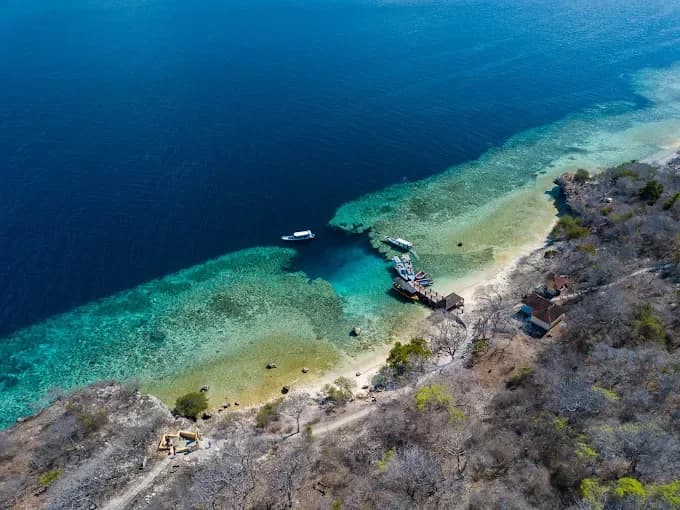 Menjangan Snorkeling Center & Dive Trip Bali | Menjangan Island Experience