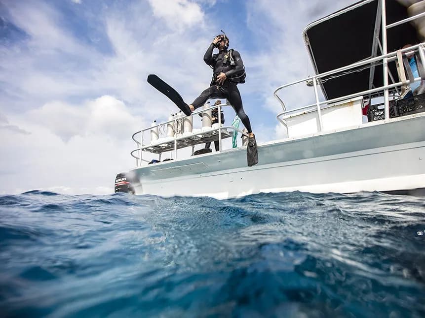 Republica Diving: Jungle and Caribbean Seafaris