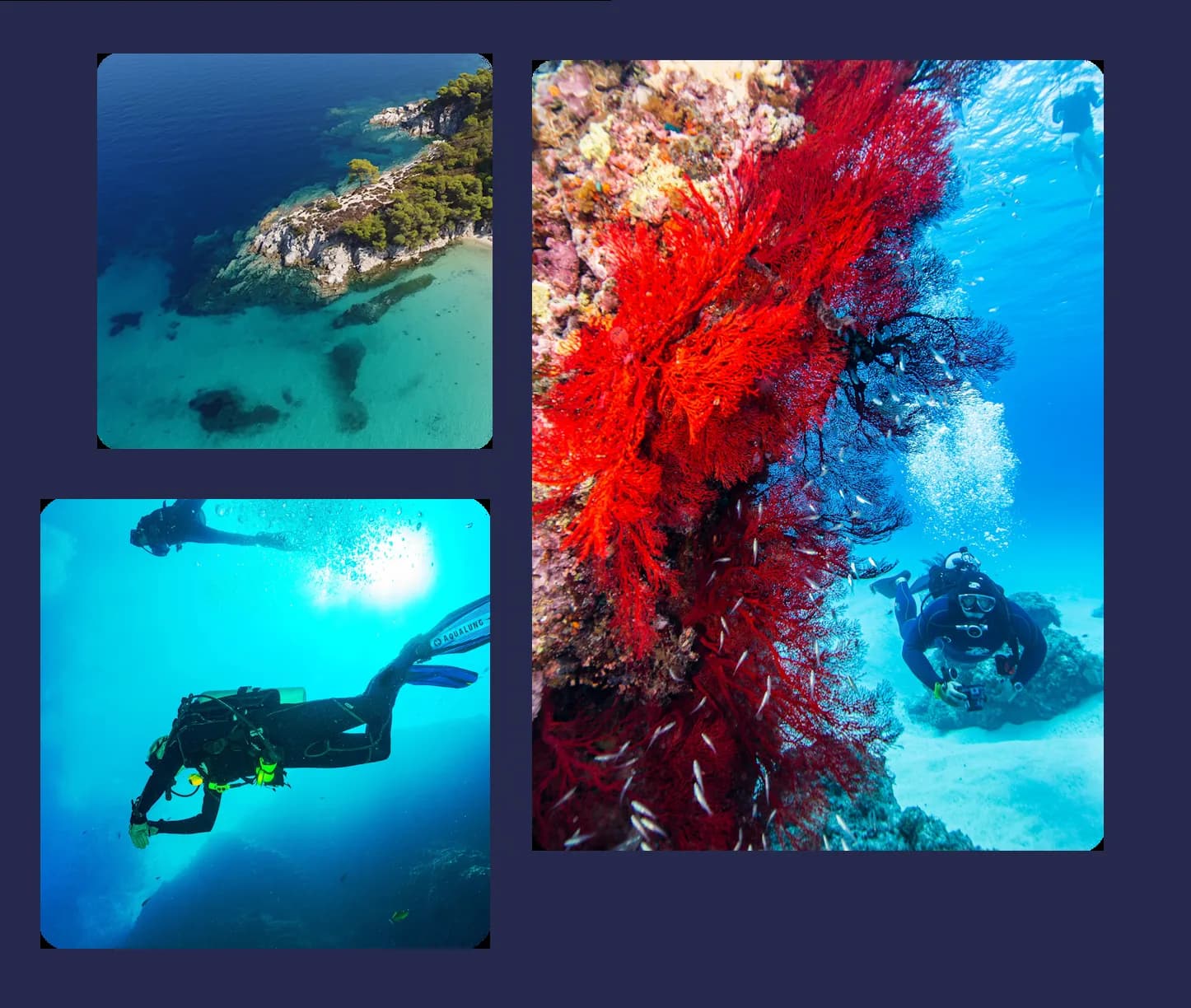 Diversity Diving Center