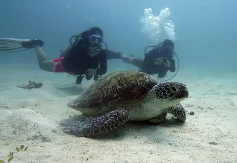 Mobula Divers Diving Center