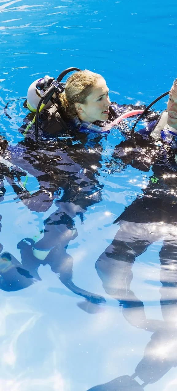 Dive Adventures Los Cabos