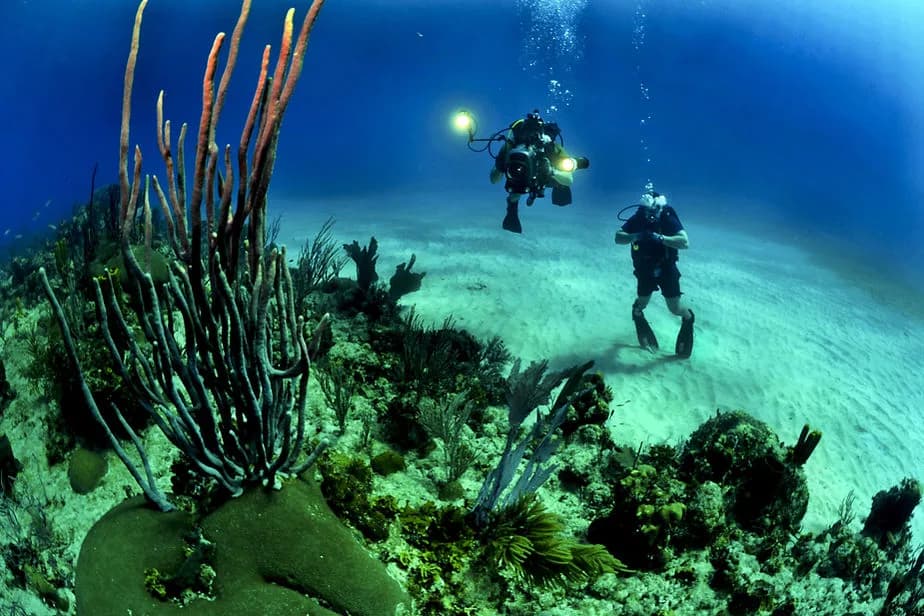 Dive Club Kassandra