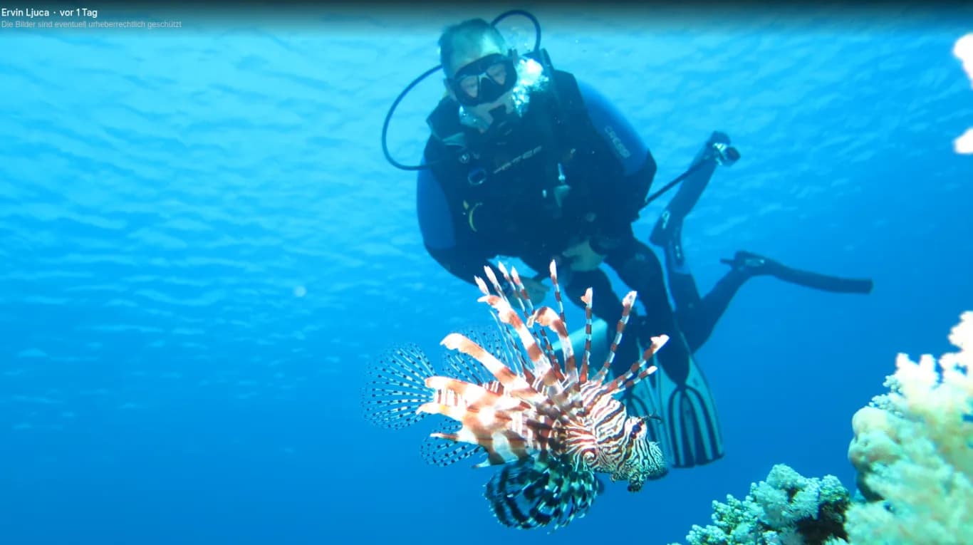 Dive X Egypt