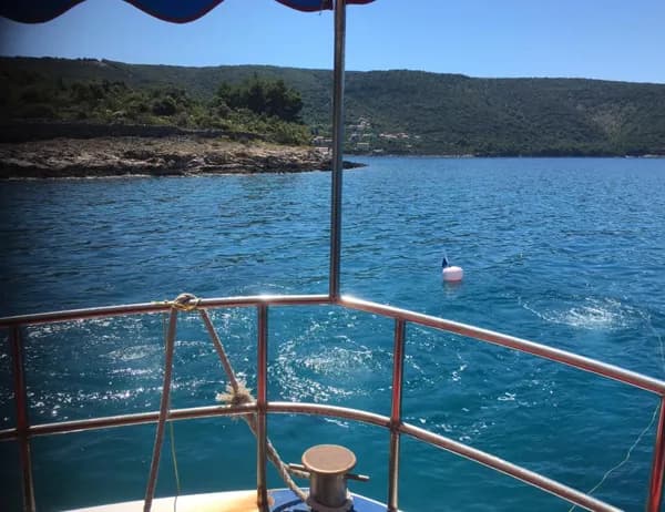 Diving Cres