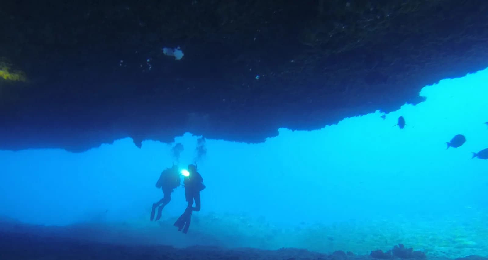 Garden Isle Divers
