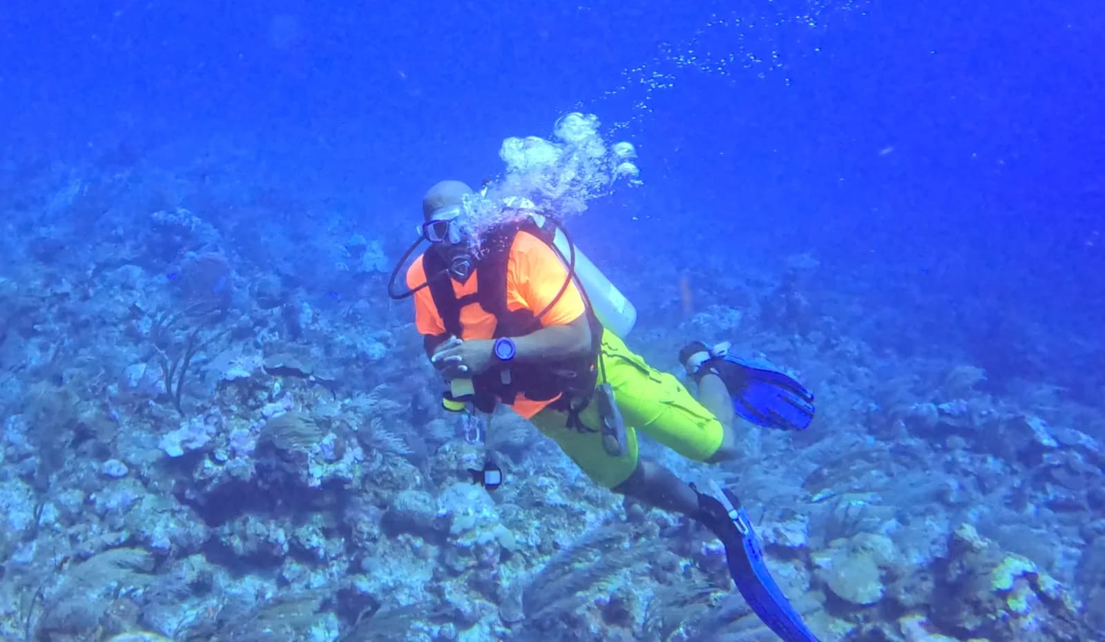 Scuba Steve Belize