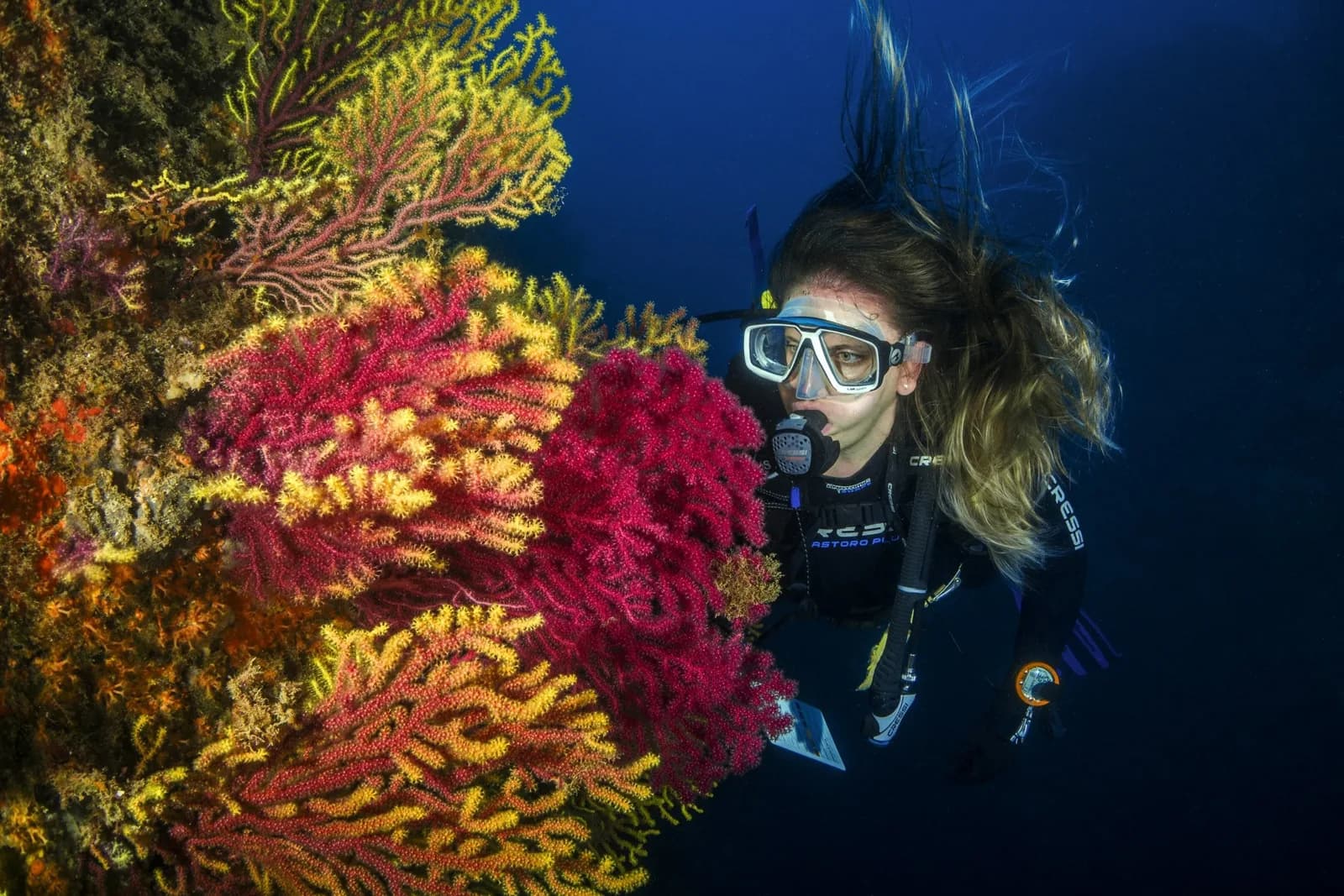 Kiwidivers Phuket