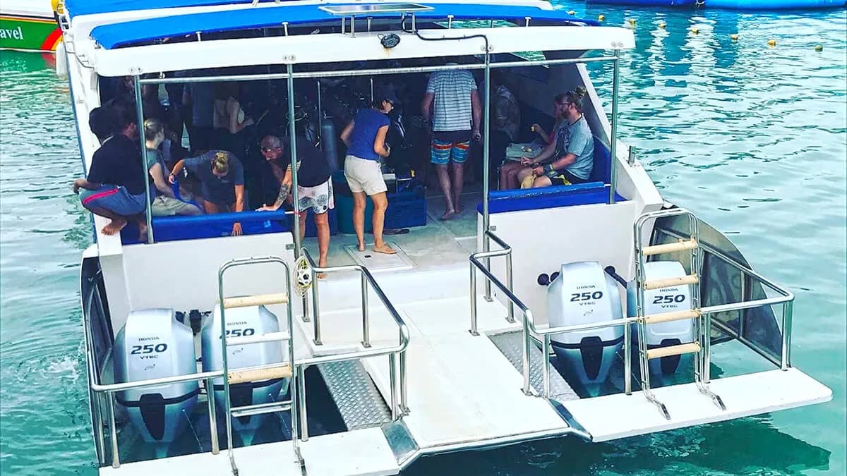 Easy Divers