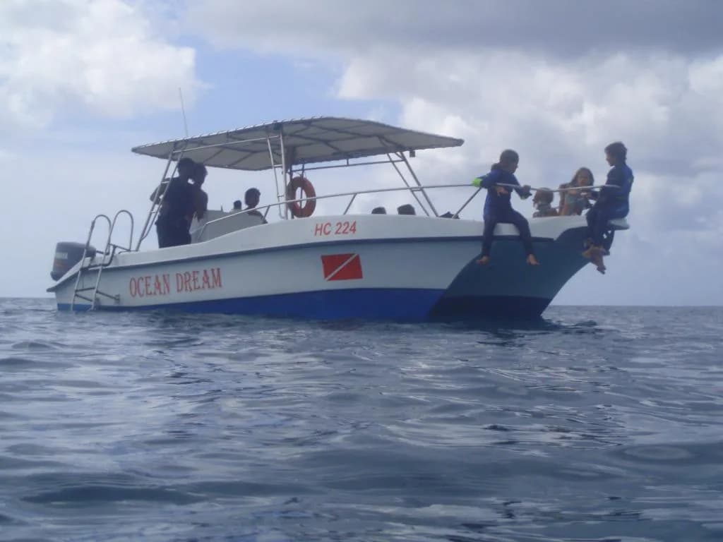 Ocean dream divers