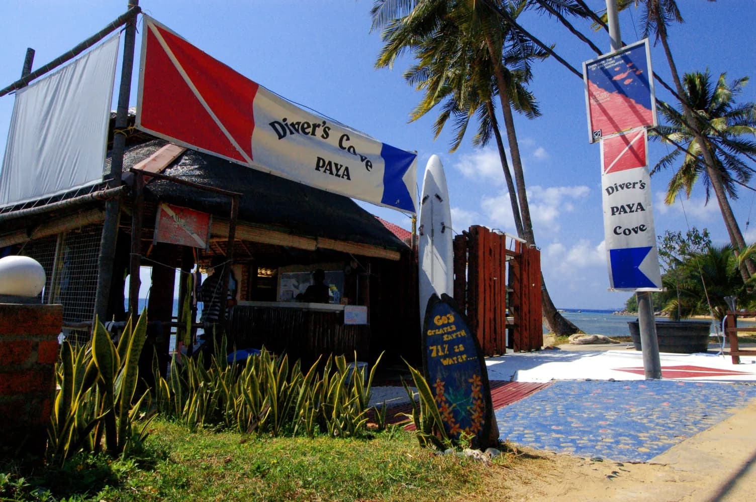 Divers Cove