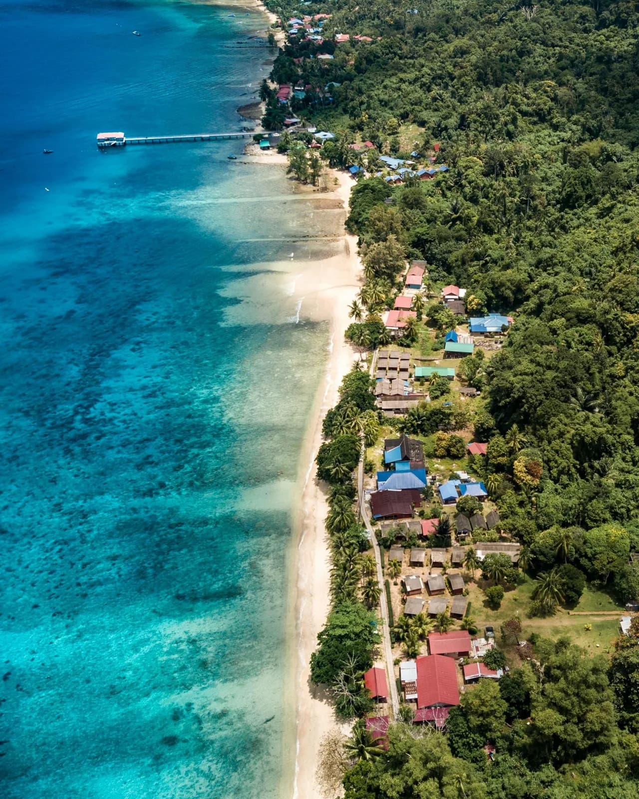 Freedive Tioman