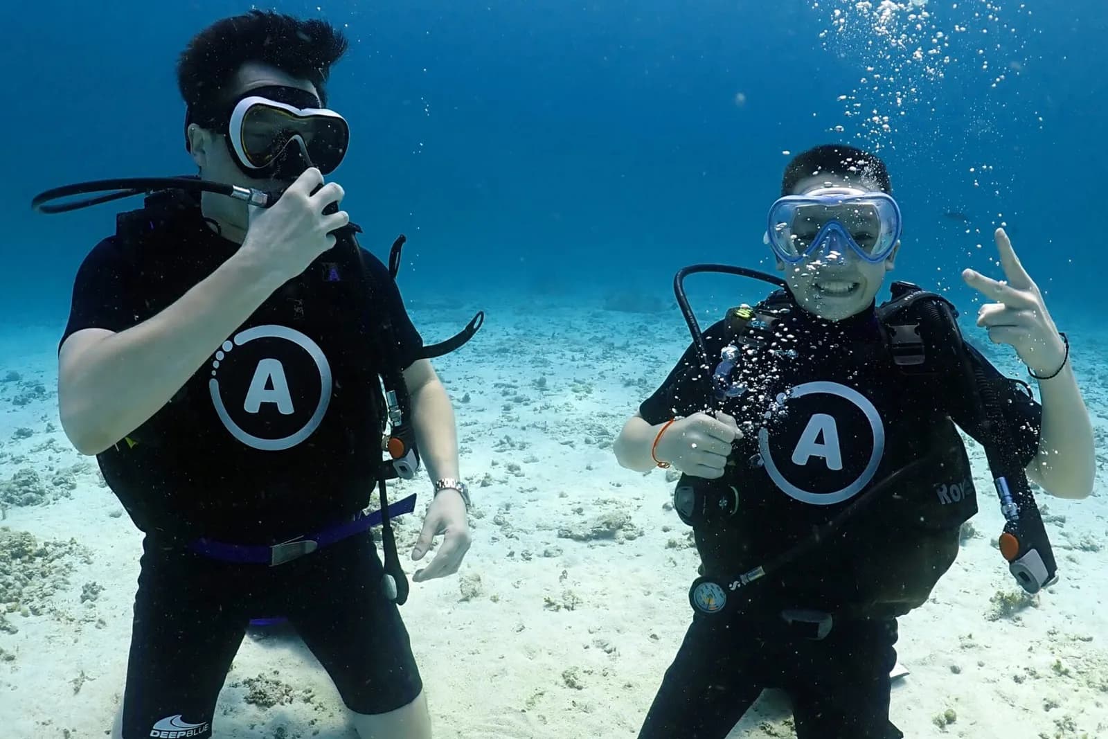 A-Diving Tour