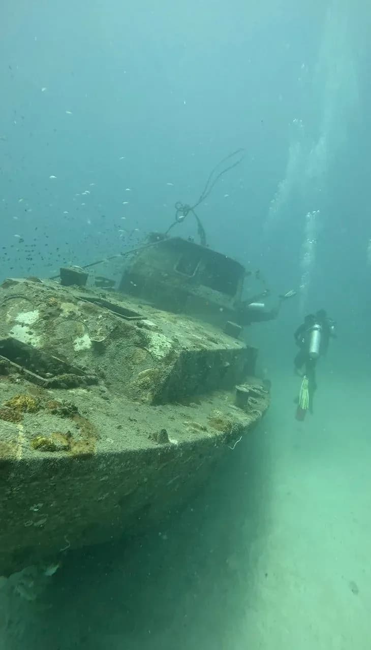 Turtle Bay Divers