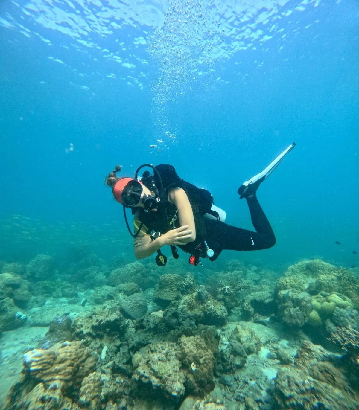 Medusa Divers Dive Center