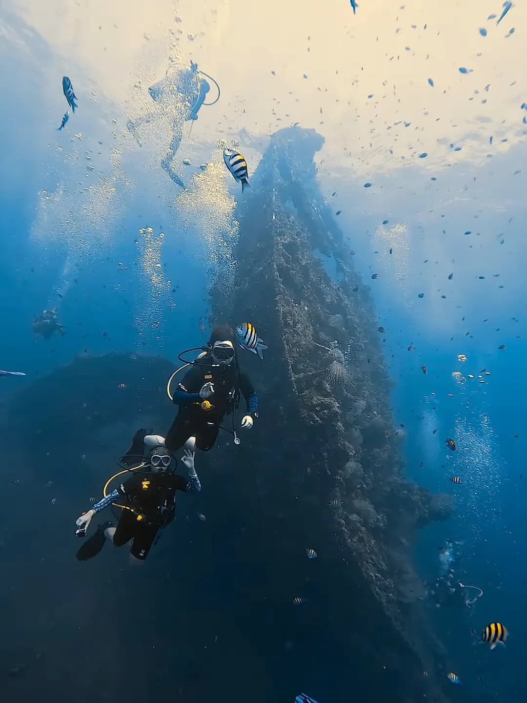 Tour Dive Bali