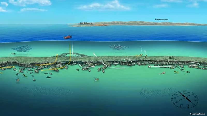 CID Lanzarote - Canary Island Divers