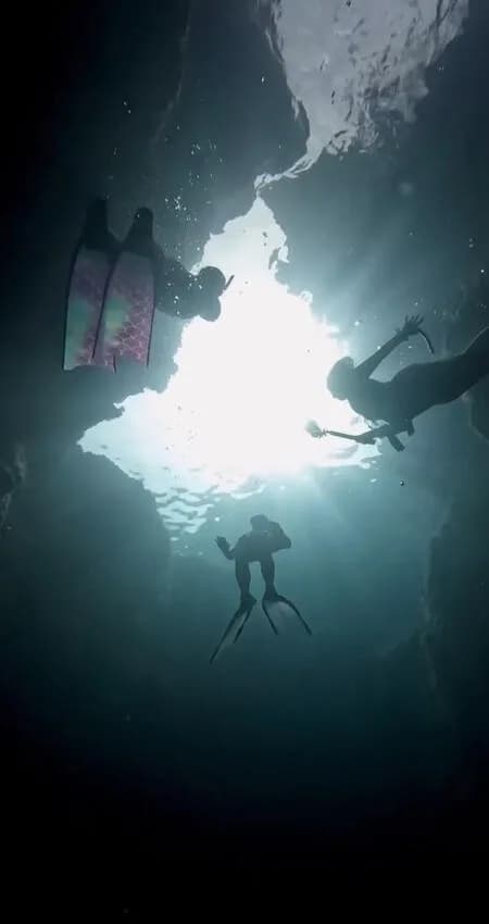 Apnea Mallorca Freediving FUN DIVES
