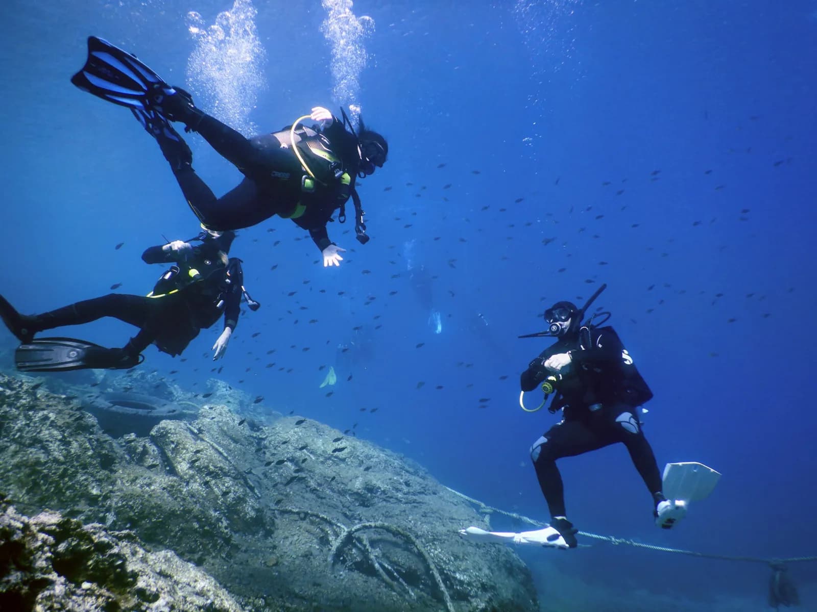 Deep Blue Diving Club