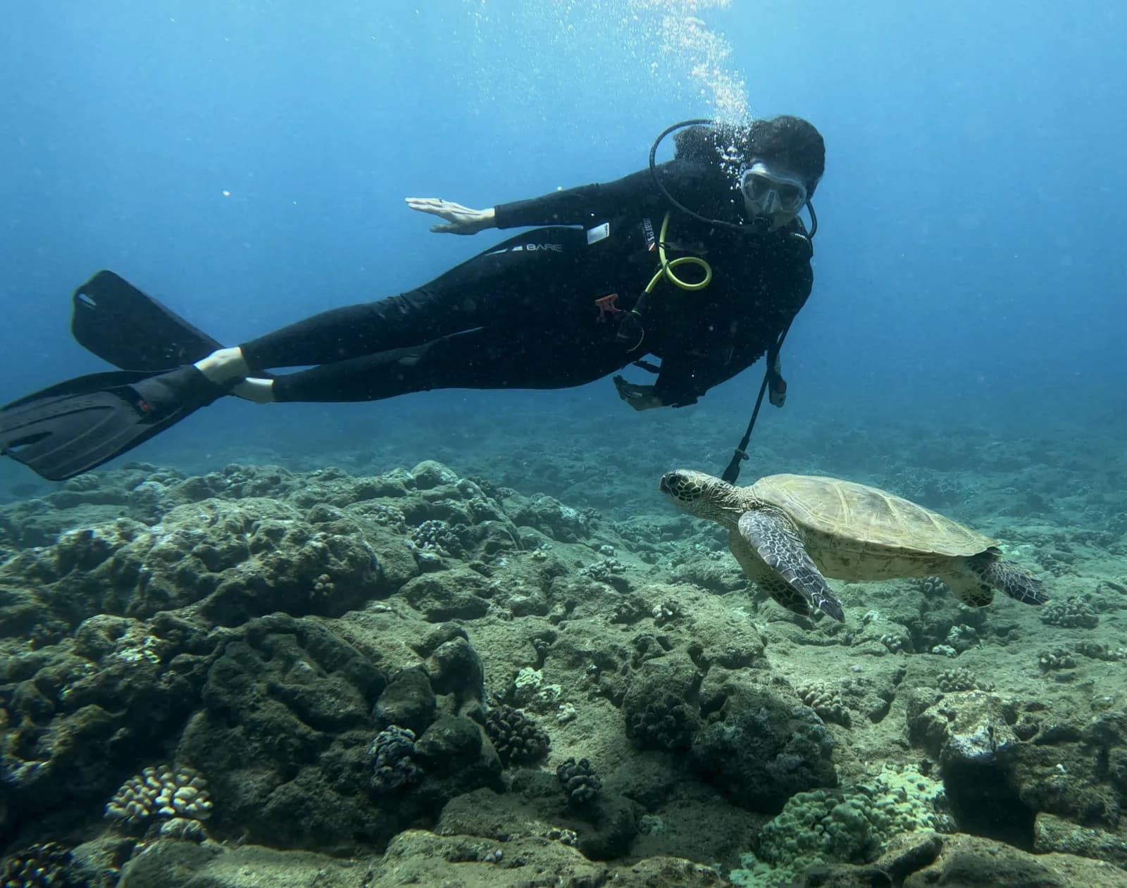 Ola ParaDive Scuba Oahu