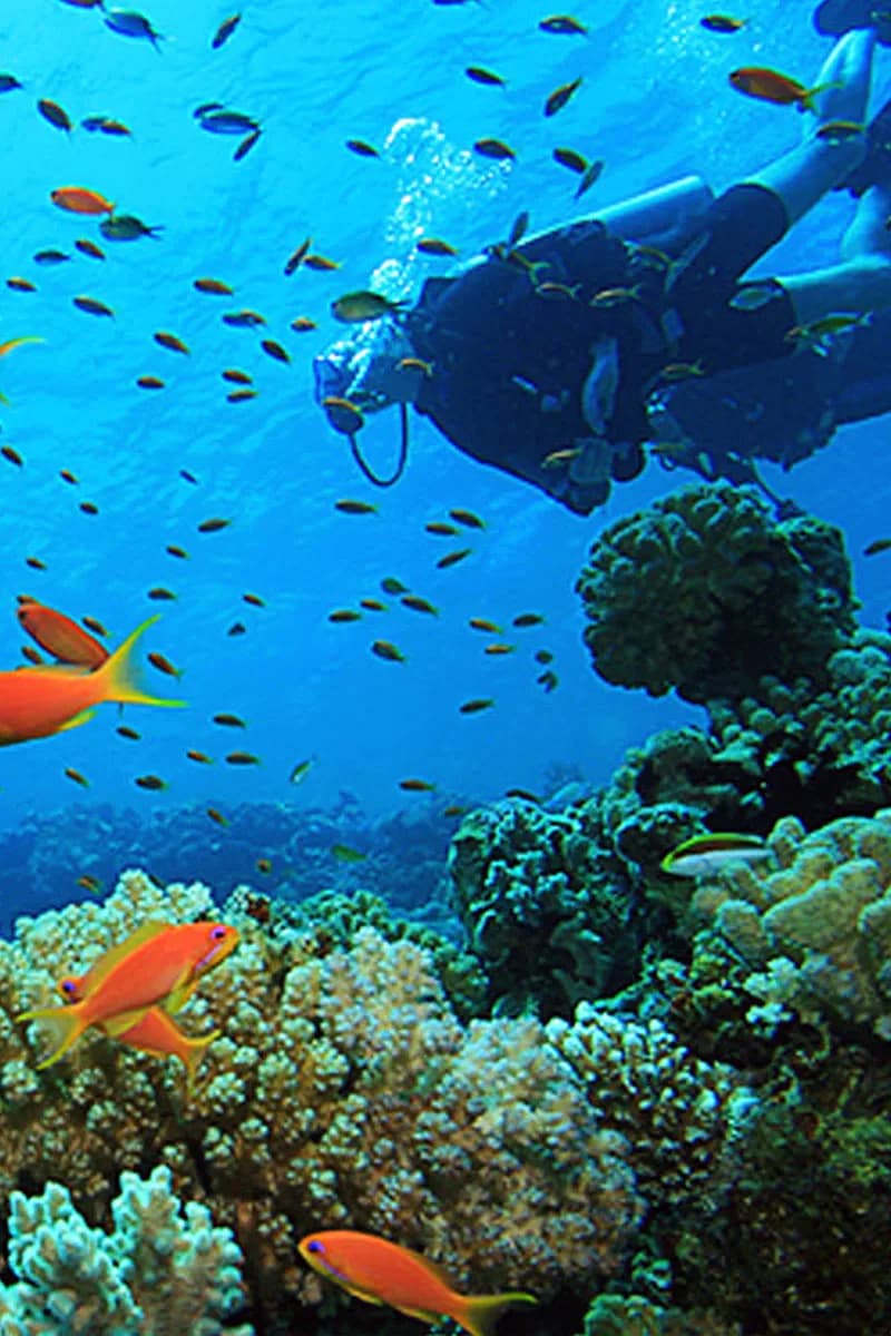 Banzai Divers Hawaii