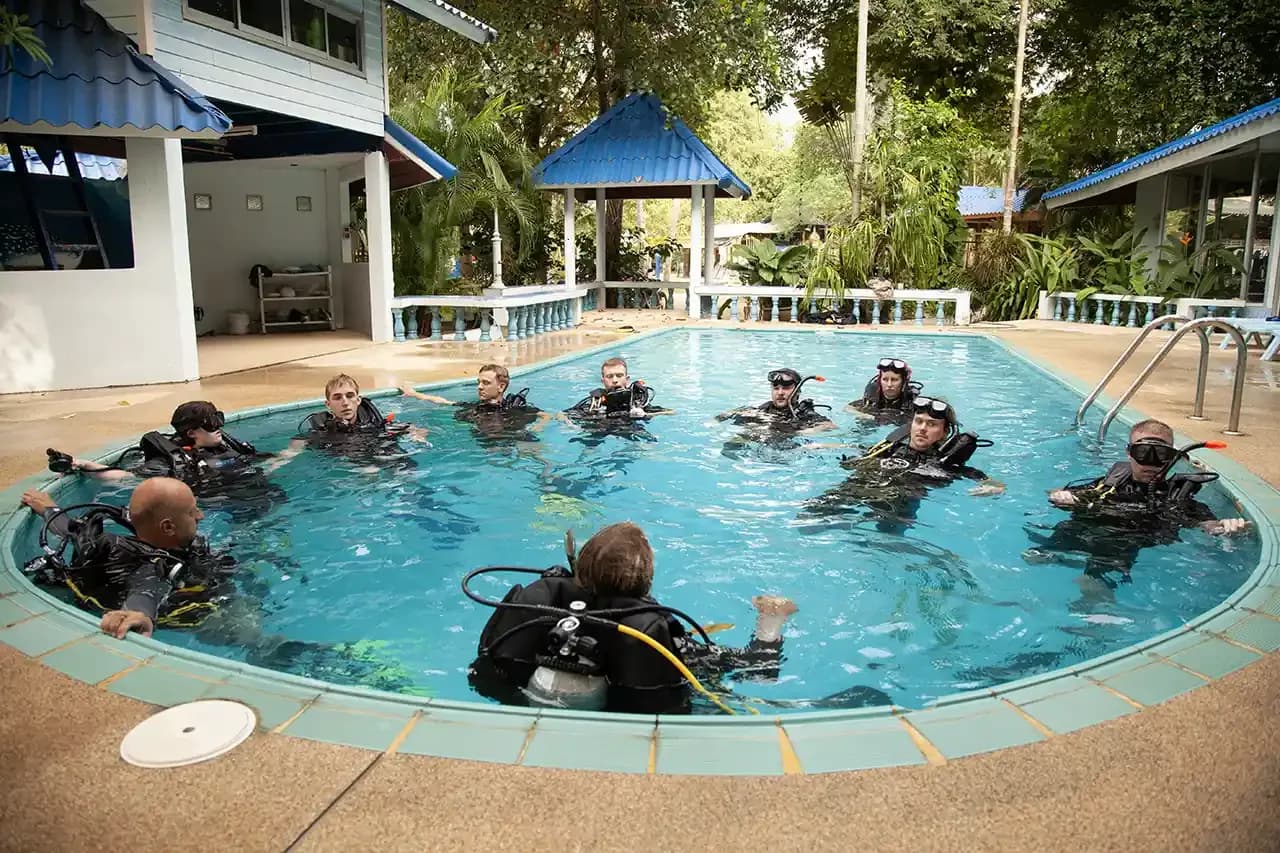 Lotus Diving