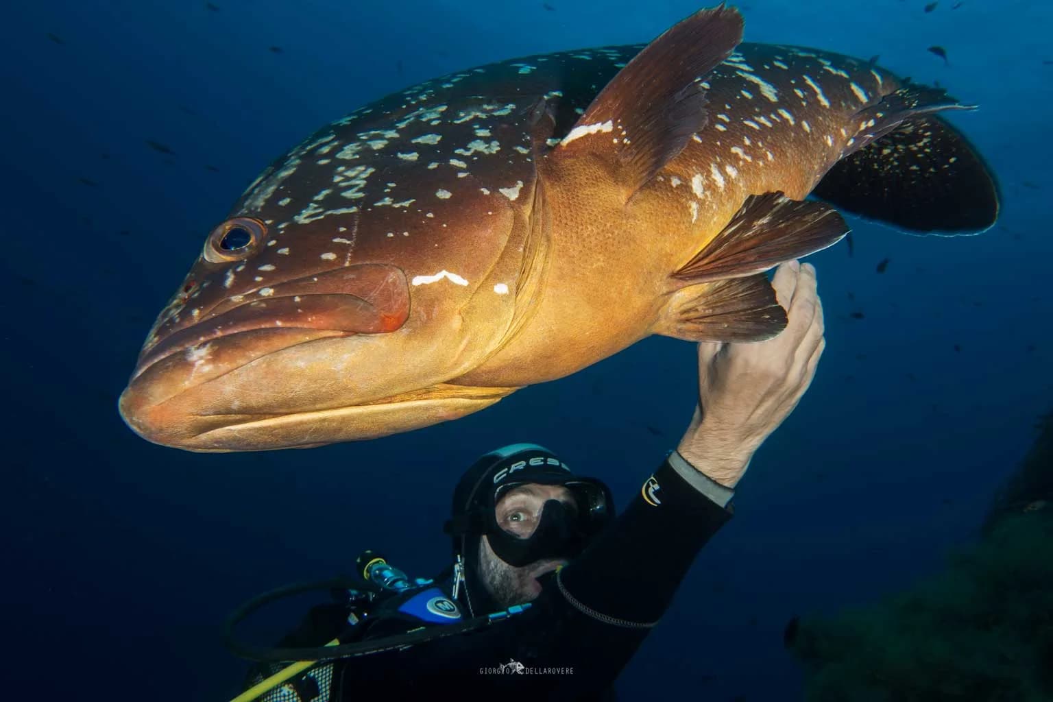 Rio Diving Center