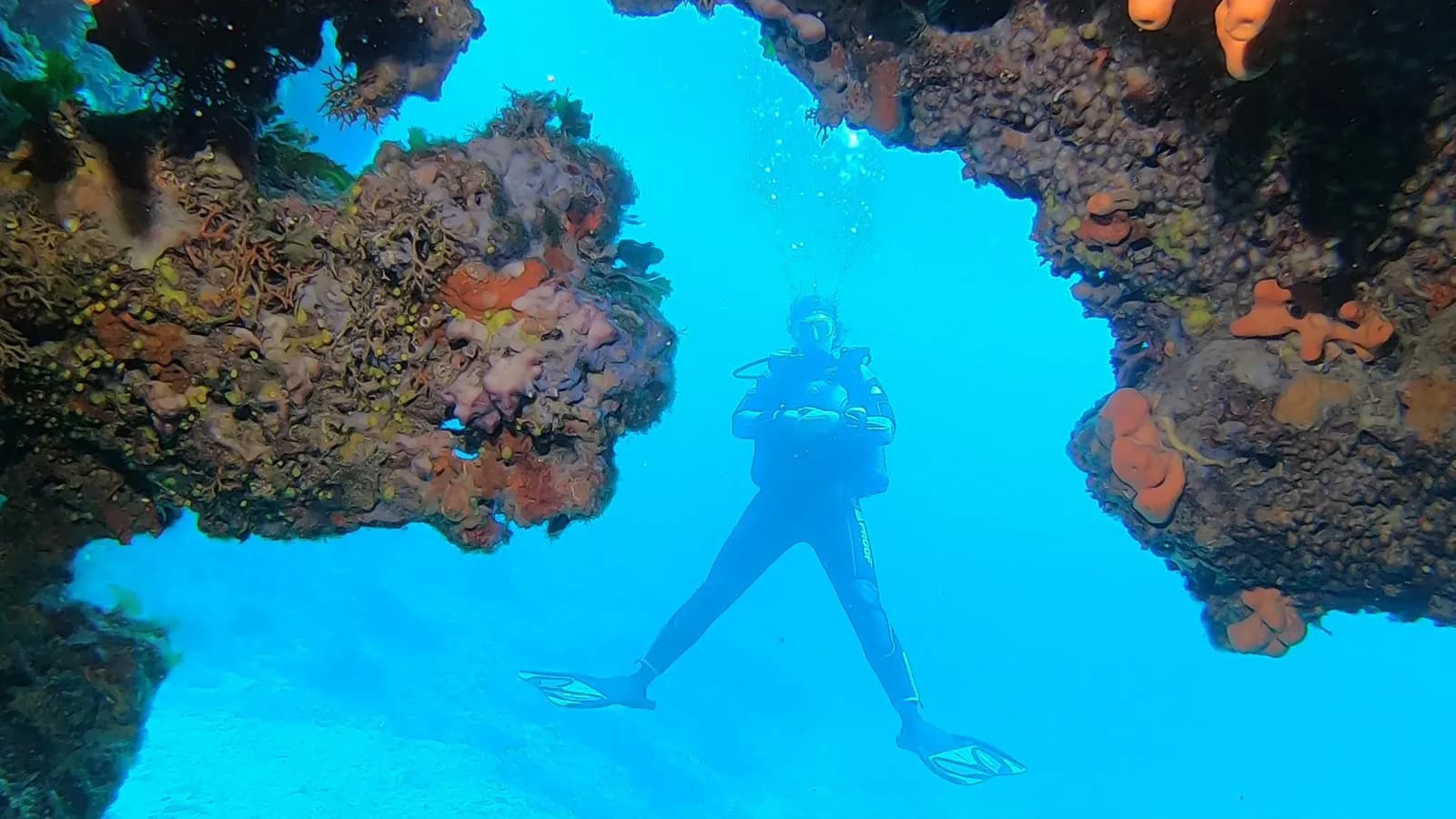 Diving Center Venus