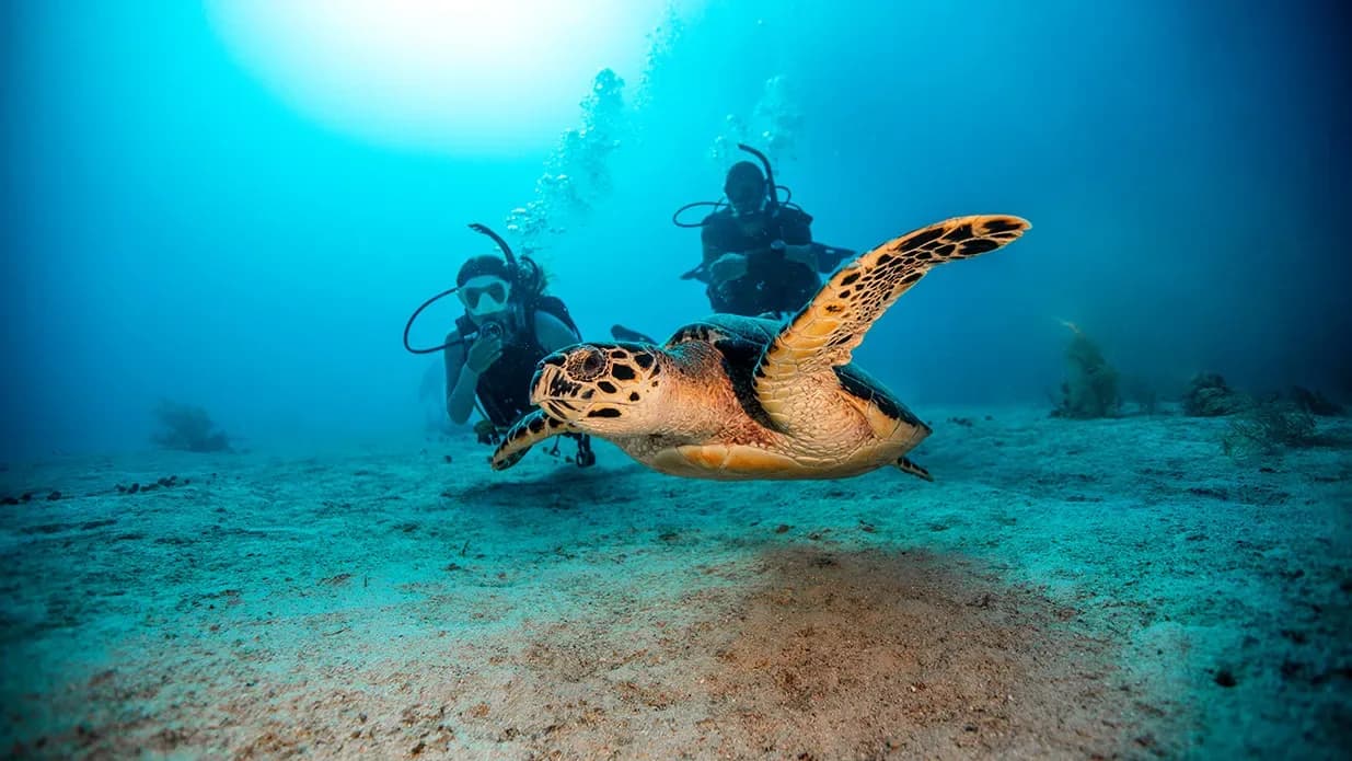 S.E.A. Diving Bali